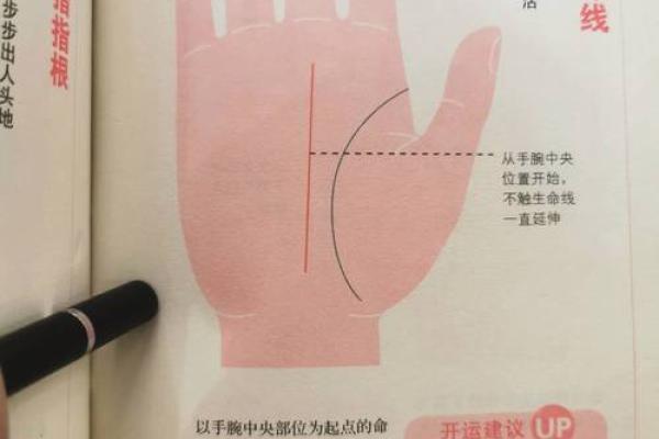 揭秘手掌细纹：它们如何揭示你的命运与性格
