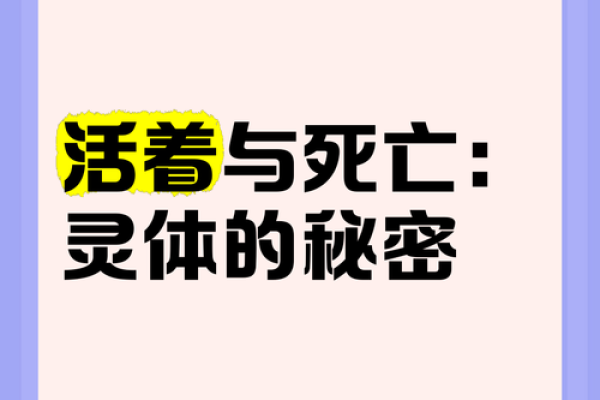 深入探讨命魂：揭示命运与灵魂的神秘联系