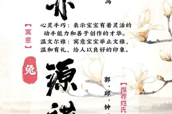 2023年属兔人的命理解析：21岁这一年的运势与挑战