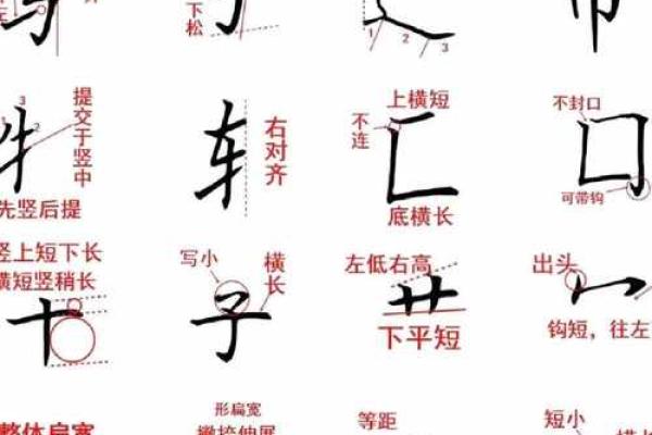 “揭秘‘命’字的结构与部首:探寻汉字背后的奥秘与文化 “揭秘‘命’字的结构与部首:探寻汉字背后的奥秘与文化