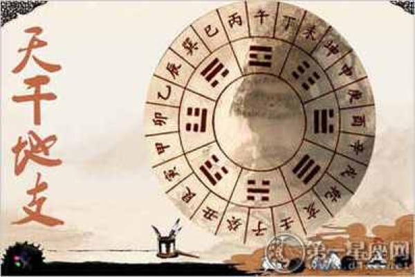 泉中水命与各命相配的完美搭档！