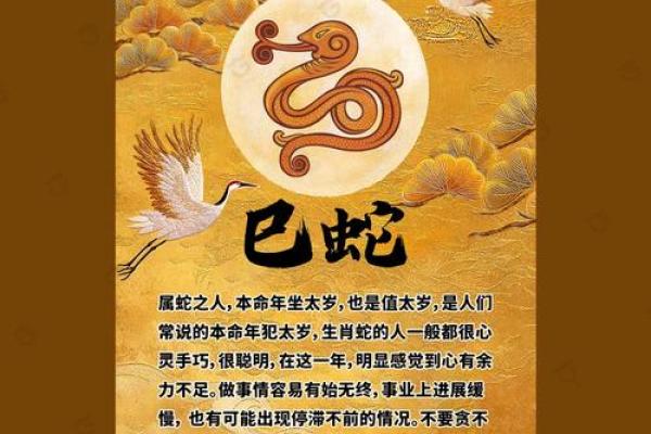 71岁属什么生肖?探秘属猪的命运与性格! 71岁属什么生肖?探秘属猪的命运与性格!