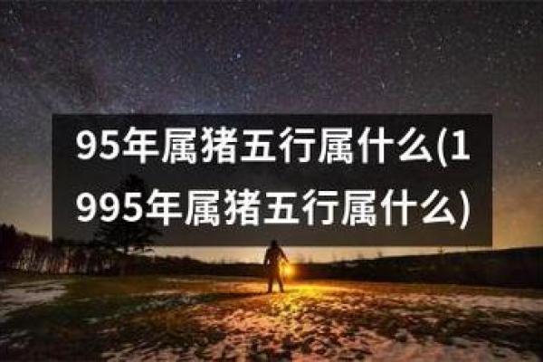 2007年猪年命运解析：揭示你生活中的幸运与挑战
