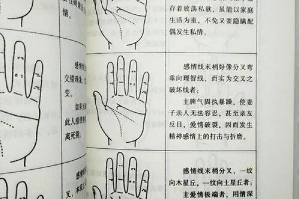 没有女儿的男人命格分析 - 你是否真的了解自己的命运？
