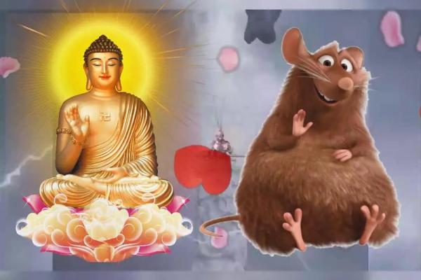 1994属鼠人：智慧与机遇并存的人生之旅