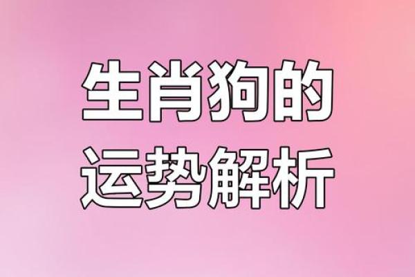 1996年属犬人的命运与性格解析：忠诚与坚韧的象征