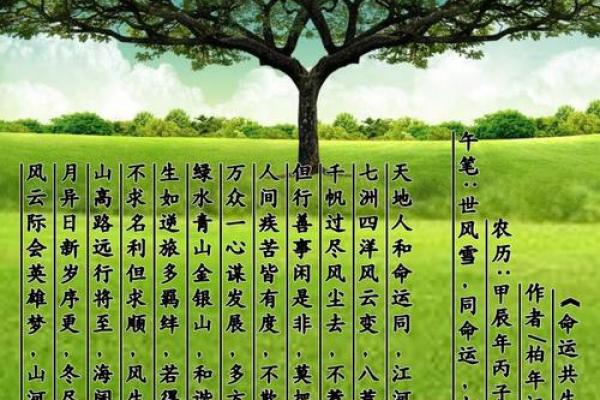戊午日出生者的命运解析：揭开神秘面纱，探寻人生轨迹
