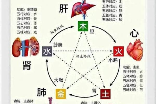 命理中的十字五行：解读不缺命的奥秘与智慧
