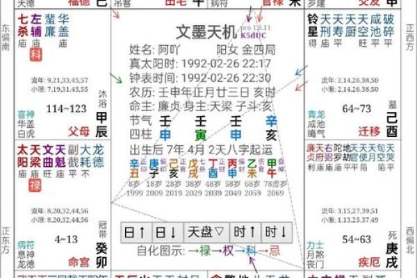 探秘紫薇命盘：解读命局背后的秘密与智慧