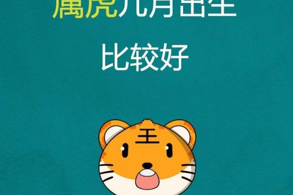 属虎之人的命运解析：如何迎接好运与挑战