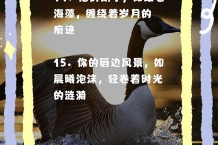 命理中的胡子:象征与意义探究