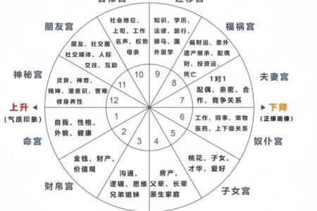 探究星座命盘的准确性：哪些星座最能启发你的人生？