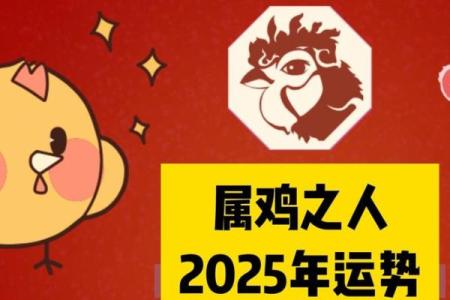 2023年属鸡火命者的运势与缺失：寻找平衡与成长的机遇