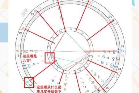 探索男人24岁属什么命的奥秘：命运与人生的交汇点