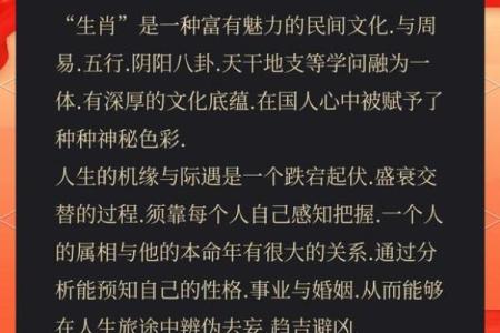 鼠年早上出生的人命运解析：智慧与灵活的象征