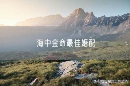 海中金命的魅力与生活中的好处探析