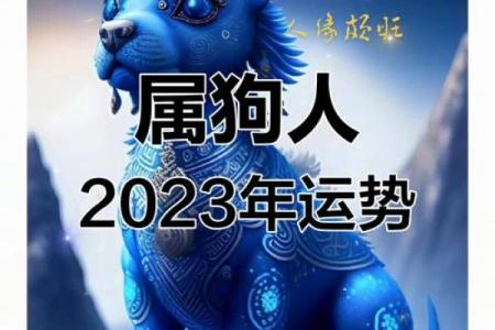 属狗中午出生的人，命运与性格的奇妙结合