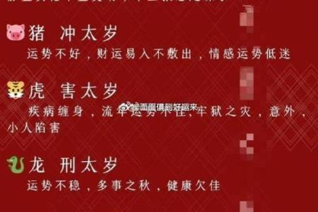 2023年生肖运势解析：哪些生肖在这一年与太白星有缘？