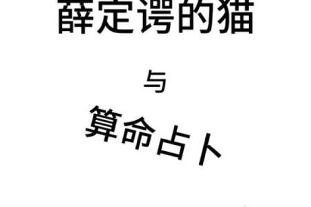 算命中中等命的真谛：你的人生命运如何规划与应对？