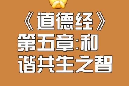 贤达之命：探寻智慧与道德的真谛