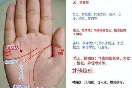 手掌下的秘密：细说掌纹与命运的深刻关系