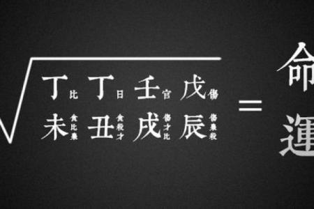 解密命运：才力命中的命运密码与生活启示