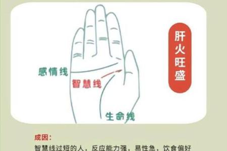 揭秘手掌细纹：它们如何揭示你的命运与性格