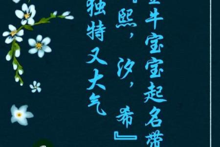 金牛命取名：如何结合五行属性与个性特点