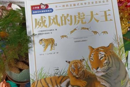 探秘：49年的老虎，究竟属于什么命运？