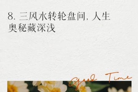 探索1995年出生者的命运：命理与人生的奥秘