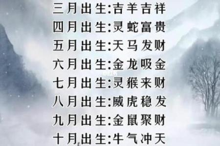婚后命运解析：揭秘与生肖相关的占卜技巧与女性幸福指数