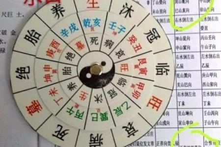 探秘八字命理：倒冲格女命的独特魅力与命运解析