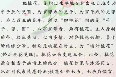 生就桃花命：解析魅力与命运的奇妙交织