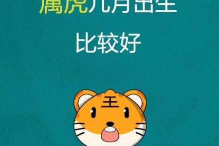 属虎之人的命运解析：如何迎接好运与挑战