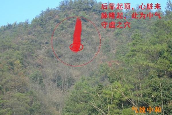 丫头命硬的背后故事与风水讲究探秘