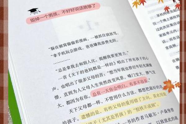 男人有小孩的命运解读：成长与责任的双重体验