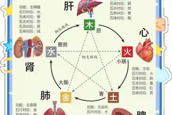 属狗的人命理解析：五行缺什么，如何改善运势？