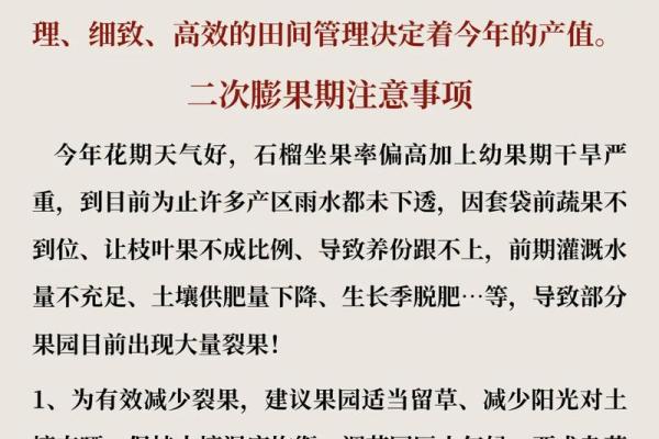 石榴木命的行业忌讳：如何避开不适合自己的职业之路