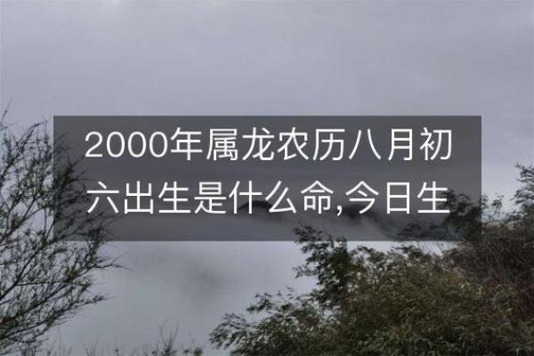 探秘木命：揭示何时出生才是最佳选择！