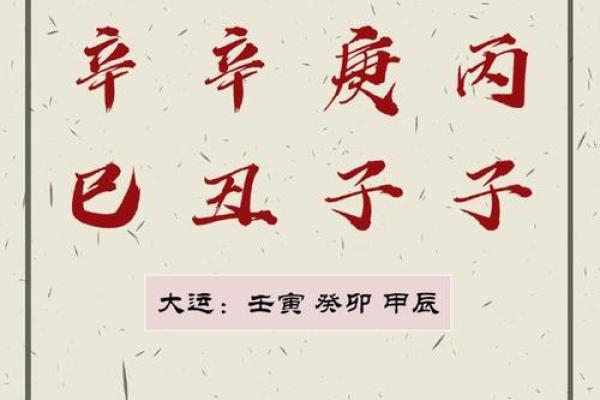 1979年丑时出生的人命运解析：揭开命理的神秘面纱