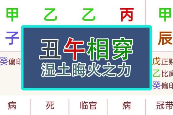 1979年丑时出生的人命运解析：揭开命理的神秘面纱