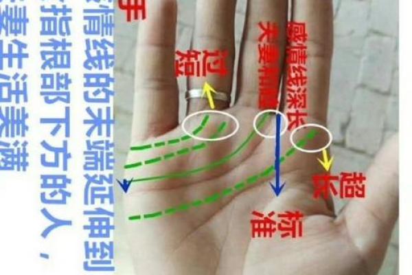 解读将军手纹：峥嵘岁月与命运的指痕