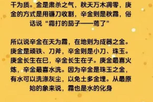 男命辛日主的最佳命局搭配解析，让你更懂命理！