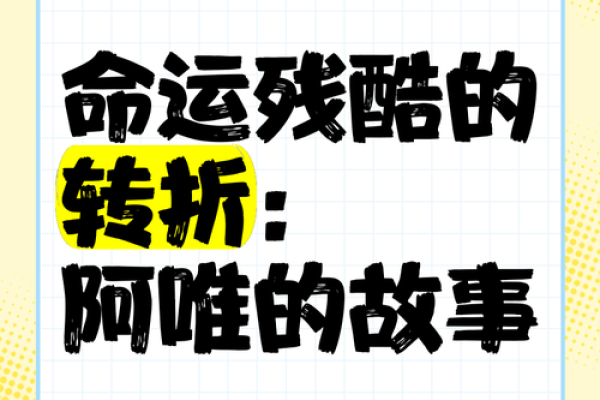 2006年是什么命人：寻找命运的转折点和人生的可能性