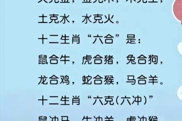 属虎人：金木水火命的命运解析与人生运势