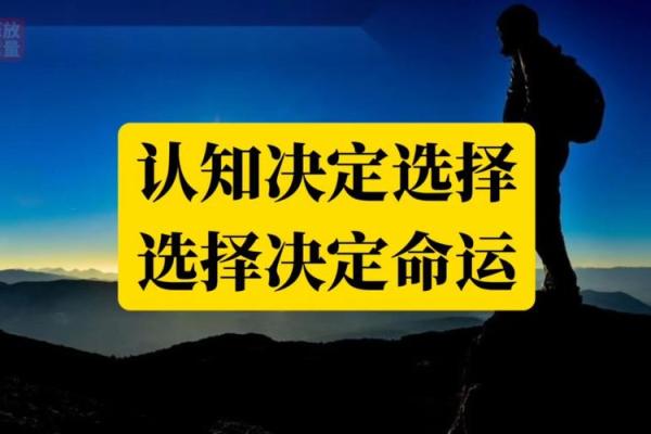 命格层次高：探秘人生潜能与命运之道