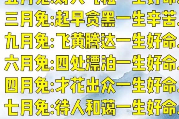 属兔的木命五行分析与性格特点探讨