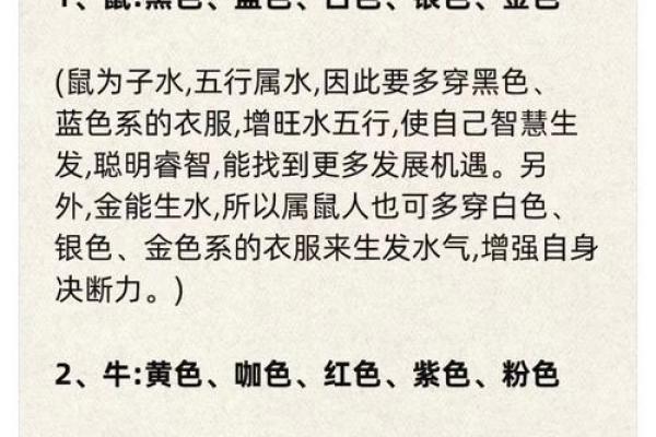 属猪大海水命的颜色解析与生活指导