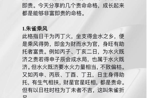 探秘辛巳癸巳格命的命理奥秘与人生启示