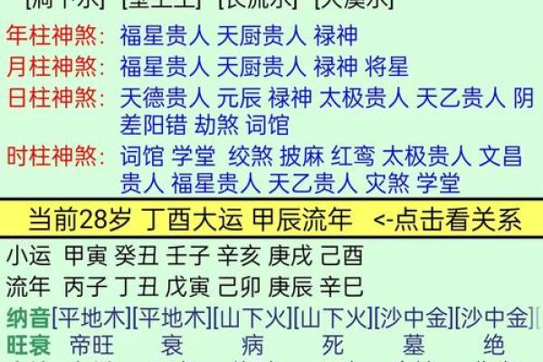 己巳年酉时命理揭秘：深度解析命格与人生运势的奇妙联系